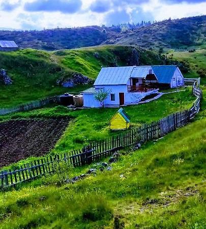 Weekend House In The Piva Nature Park ปลูชิเน ภายนอก รูปภาพ