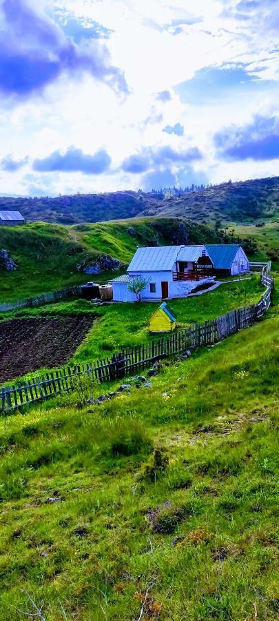 Weekend House In The Piva Nature Park ปลูชิเน ภายนอก รูปภาพ