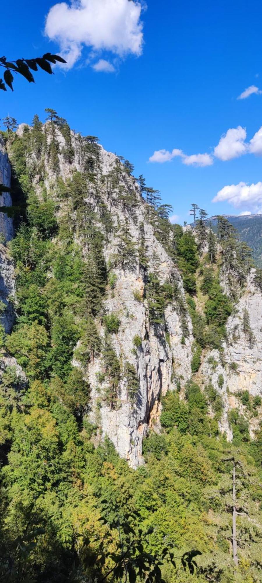 Weekend House In The Piva Nature Park ปลูชิเน ภายนอก รูปภาพ