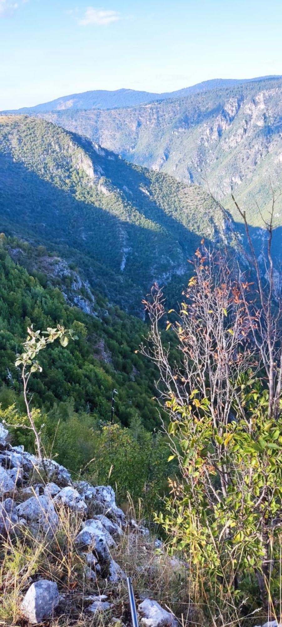 Weekend House In The Piva Nature Park ปลูชิเน ภายนอก รูปภาพ