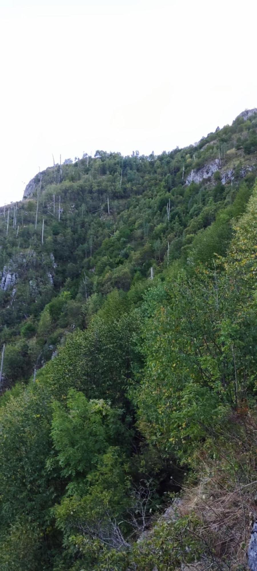 Weekend House In The Piva Nature Park ปลูชิเน ภายนอก รูปภาพ