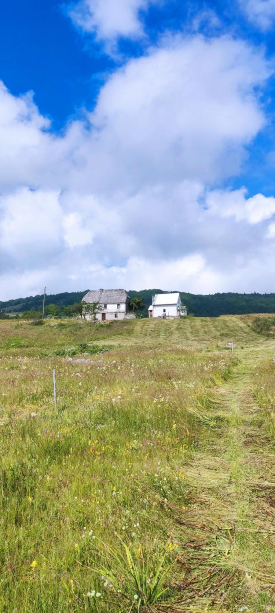 Weekend House In The Piva Nature Park ปลูชิเน ภายนอก รูปภาพ
