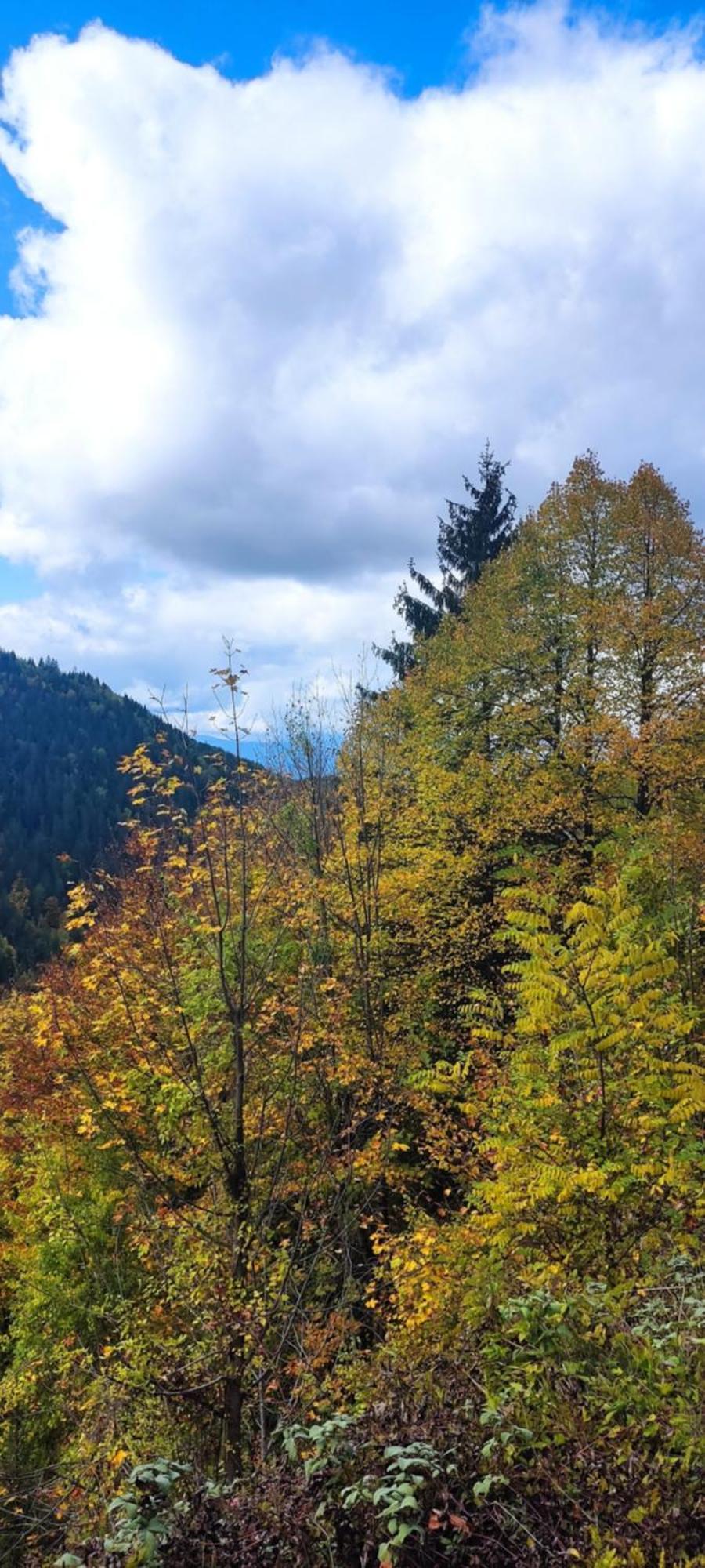 Weekend House In The Piva Nature Park ปลูชิเน ภายนอก รูปภาพ